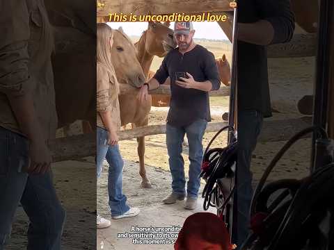 Unconditional Love ❤️🐎 The Beautiful Bond Between Horse & Human #Shorts