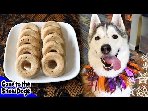 download lagu mp3 mp4 Donut Dog Treats Recipe, download lagu Donut Dog Treats Recipe gratis, unduh video klip Donut Dog Treats Recipe