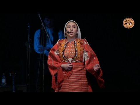 Многу мерак имам бабо - ВИС Аманет / Mnogu merak imam babo - VIS Amanet