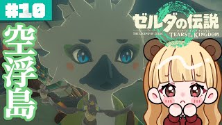 大吹雪のリトの村……一体なにが起きているのか！#10【ゼルダの伝説 ティアーズ オブ ザ キングダム】