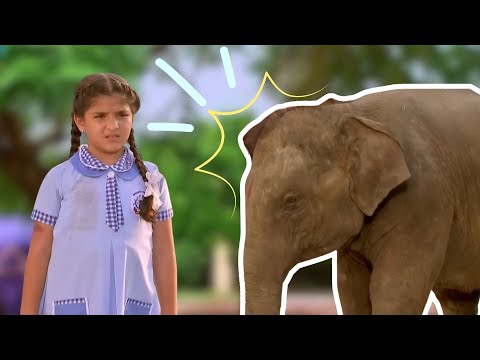 Bandhan Saari Umar Humein Sang Rehna Hai - Hindi Serial - Full Episode - 23 - Chhavi Pandey - Zee Tv