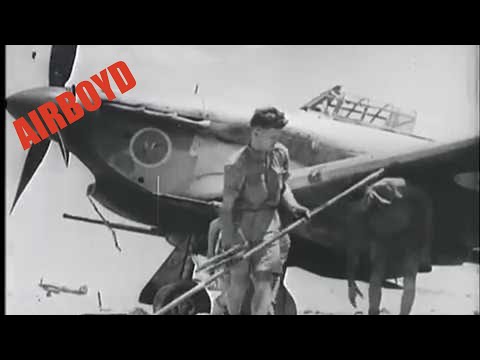 Hawker Hurricane Mk IID Tank Busters