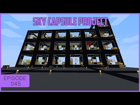 Sky Capsule Project EP 45 - Relocating The Bee's
