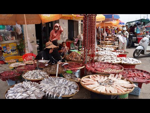 Compilation Fish Market In Cambodia - Plenty Rural Fish, Dry Fish & More Food Selling On The Street