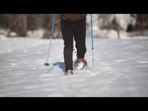 How-to-Snowshoe: Learn the basics from the experts |...