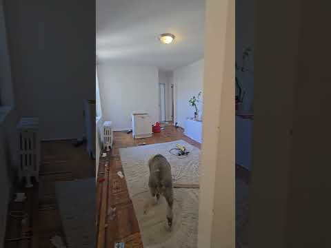 video 1