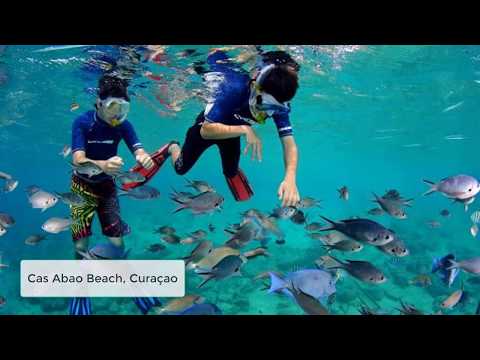 20 BEST BEACHES IN THE WORLD - Wait For It  || [2018] || RandomVideos