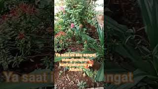 Download lagu Ya Alloh ku serahkn semua in kpdmu Krn engkau maha segalany yarohman ya rohim mp3