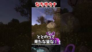 なちサウナ #rust #黒炭酸
