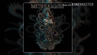 Meshuggah - Into Decay