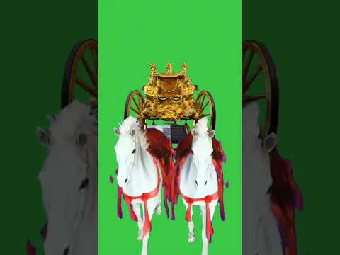 Green screen horse #horse #equestrian #animation #horselover #greennscreeneffects #chromakey