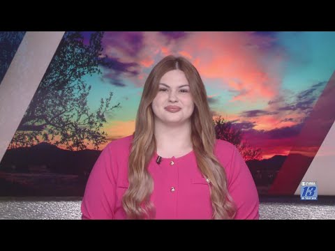 The Popularity of Beanie Babies