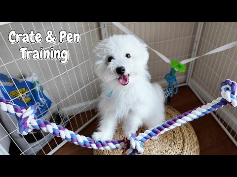 Mom's Secrets to Crate & Pen Training (Puppy Reveals)