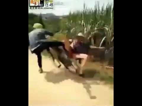 CARLOS VIVES FT SHAKIRA LA BICICLETA