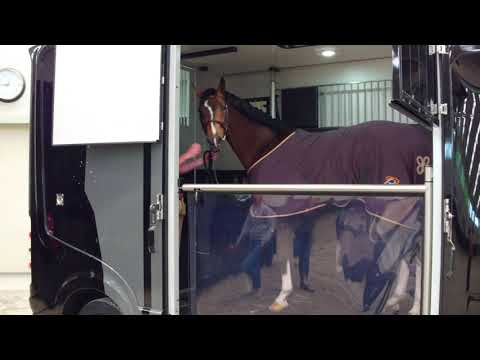 New Trucks for Tal Milstein Stables