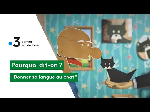 Pourquoi dit-on : "Donner sa langue au chat" ?