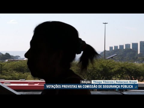 Combate à violência doméstica está na pauta da Comissão de Segurança Pública