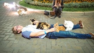 BRUTALLY ATTACKED BY CATS