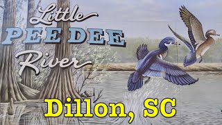 Would you visit or move to Dillon, SC | Main Street America