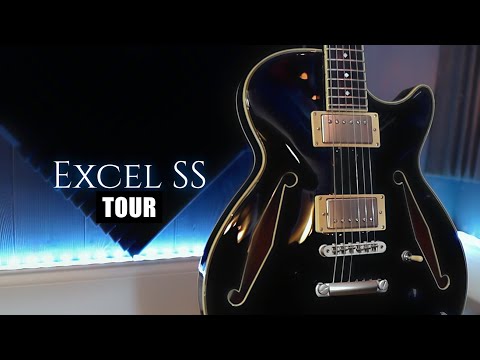 D'Angelico DAESSTSBKSNS EXCEL SS TOUR Single Cutaway Semi-Hollow Body 3 Piece Maple/Walnut/Maple Neck 6-String Electric Guitar w/Gig Bag image 10