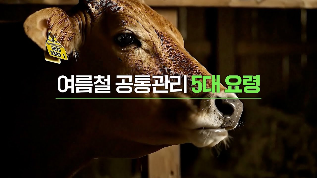 여름철 스마트 축사 장비 관리의 모든것