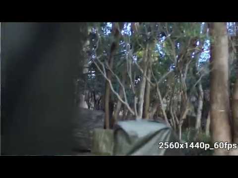 ---gitup-f1-1440p60fps-