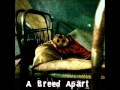 Now - Andrew Santagata with A Breed Apart