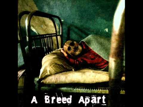 Now - Andrew Santagata with A Breed Apart