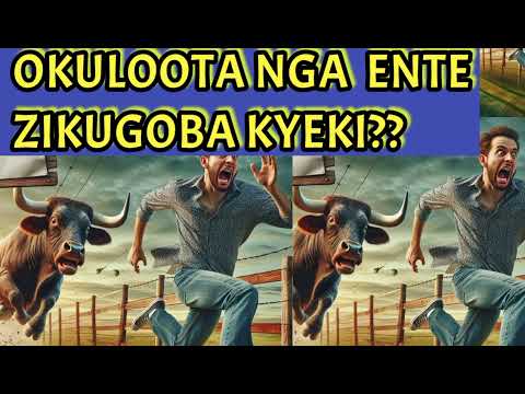 𝙊𝙆𝙐𝙇𝙊𝙊𝙏𝘼 𝙉𝙂𝘼 𝙀𝙉𝙏𝙀 𝙕𝙄𝙆𝙐𝙂𝙊𝘽𝘼 𝙆𝙄𝙏𝙀𝙂𝙀𝙕𝘼𝙆𝙄???