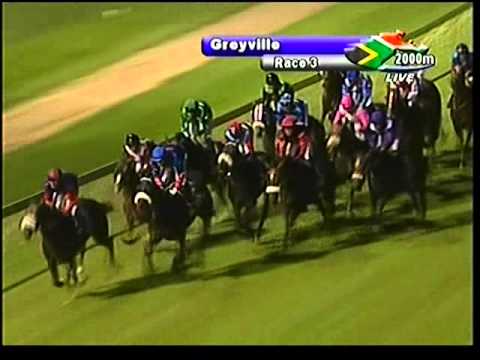 2013-03-29 Greyville - race 3