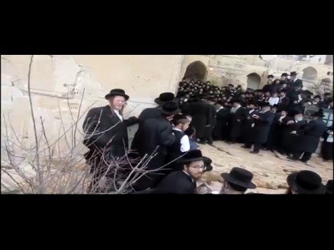 האדמור מסקוור במערת המכפלה - Skverer Rebbe leads Hasidic Group in Hebron, Israel