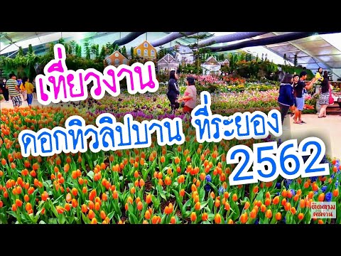 คลิกเพื่อดูคลิปวิดีโอ