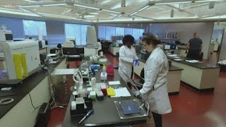 Lab tests over 800 potential coronavirus samples per day