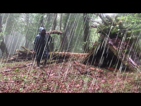 cozy shelter Camping in Heavy Rain and a Rainstorm All Day! : Caught in heavy Rainforest alone!