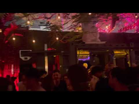 Cocodrills  - lucky 1800 Wynwood Miami 2022