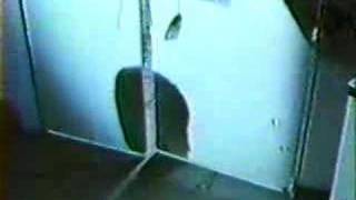 DECEASED 'HAUNTED CEREBELLUM' 1989 DEMO PROMO VIDEO