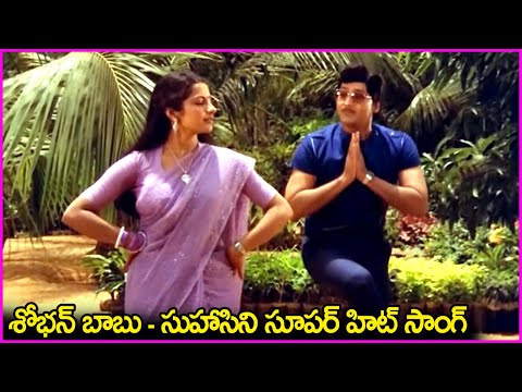 శోభన్ బాబు - సుహాసిని సూపర్ హిట్ సాంగ్ - Sobhan Babu, Suhasini Superhit Song | Evergreen Video Songs