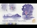Watercolour Tips Tricks With Matthew Palmer