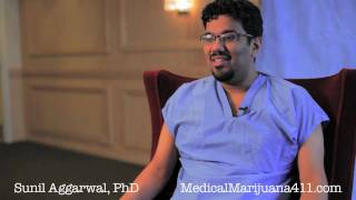 Sunil Aggarwal, PhD, Explains the Medical Geography of Marijuana [HD]