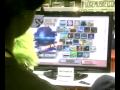 MegaCon 2010 Hacked Brawl
