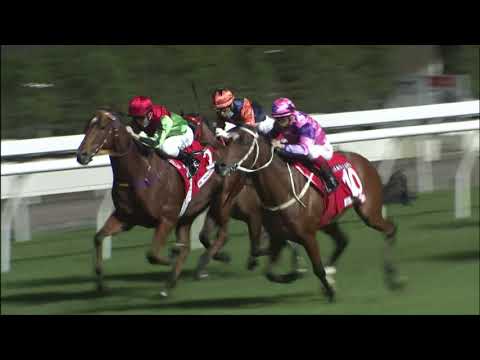 10/11/2021 (167) You'remyeverything -  A Badel