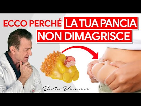 Ecco Perchè il Grasso Addominale è l'Ultimo a Sparire: Il Segreto