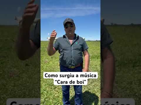 Cara de Boi - Gino e Geno