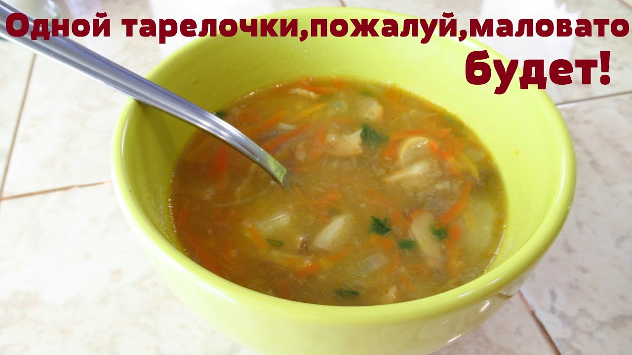 Изумительный грибной суп со свежими лесными грибами.