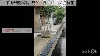 二子山部屋 二回目の稽古見学へ行って参りました🍀