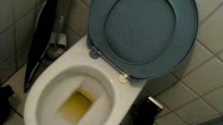 preview picture of video 'WC in Winti Seen'