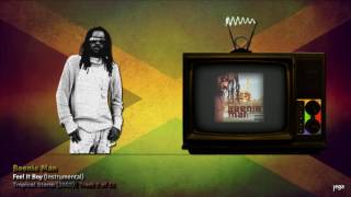 jegaTV. | welcome To Jamaica. | 03. Beenie Man - Feel It Boy (Instrumental)