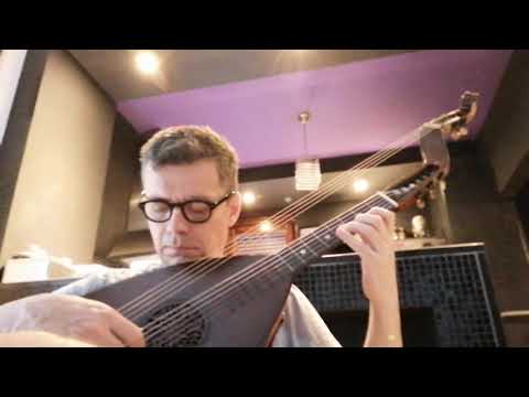 German guitar theorbo, test