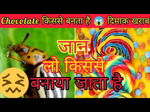 facttechz || chocolate 🍫 Non veg 🍖 होता है कैसे 😨🤔 || #factTechz#fact #nonveg #viral #trending