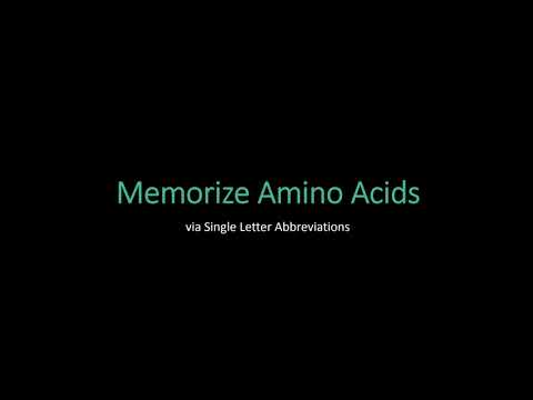 Memorize Amino Acids